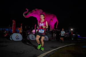 BIB: 
                            <button type="button" onclick="openModal(26551787)" class="btn btn-primary btn-sm float-right btn-popup" data-toggle="modal" data-target=".modal-high-quality">
                        <i class="fas fa-shopping-cart"></i> Add to Cart
                    </button>
                                            <button type="button" onclick="isThisMe(26551787, true)" class="btn btn-success btn-sm float-right btn-popup btn-isme hidden" data-toggle="tooltip" data-placement="bottom" title="นี่คือรูปของคุณใช่ไหม คลิกที่นี่เพื่อเอาเข้าอัลบั้ม">
                        <i class="fas fa-plus"></i> Add to album
                    </button>
                    <button type="button" onclick="isThisMe(26551787, false)" class="btn btn-warning btn-sm float-right btn-popup btn-isnotme hidden">
                        <i class="fas fa-ban"></i> Remove from album
                    </button>